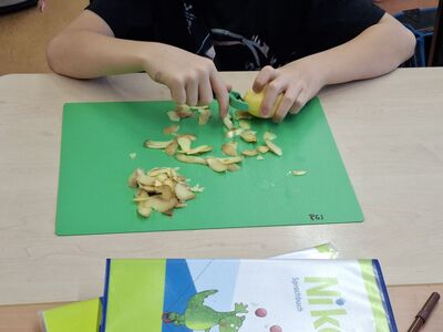 Klicken zum Vergrößern Klicken zum Vergrößern