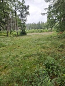 Klicken zum Vergrößern