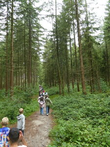 Klicken zum Vergrößern