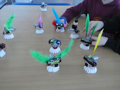 Klicken zum Vergrößern