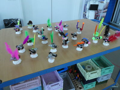 Klicken zum Vergrößern